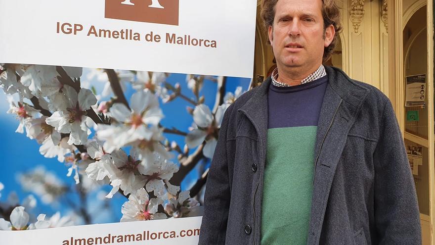 «Queremos replantar almendros para volver  a tener el paisaje de Mallorca al 100%»