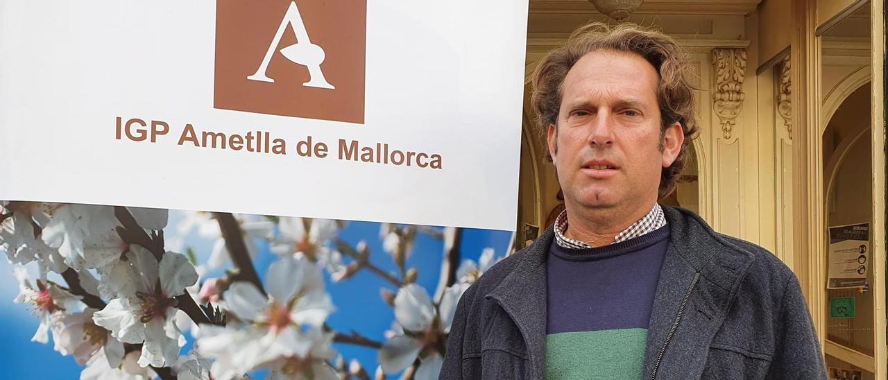 «Queremos replantar almendros para volver  a tener el paisaje de Mallorca al 100%»