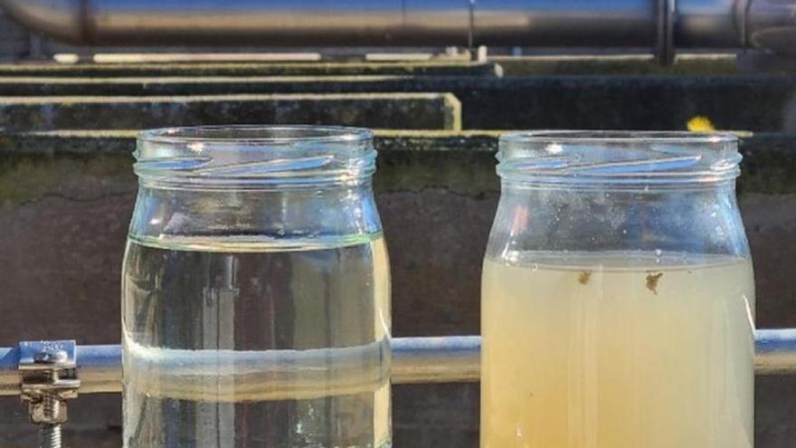 A USC participa na primeira granxa europea que producirá alimentos a partir de augas depuradas