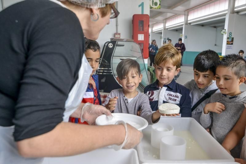 23/05/2018 ARUCAS. La Feria Escolar con más de 1.300 escolares, conocieron  y disfrutaron todo lo que ofrece el sector primario en la .Granja experimental del Cabildo. FOTO: J. PÉREZ CURBELO  | 23/05/2018 | Fotógrafo: José Pérez Curbelo