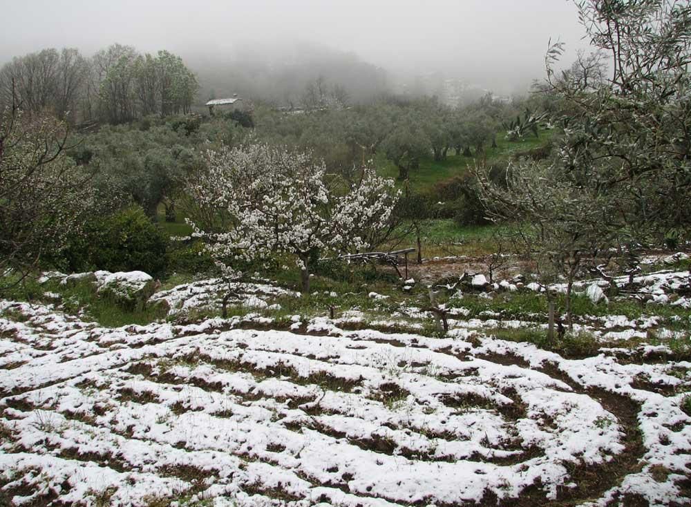 Nevada de primavera en Extremadura