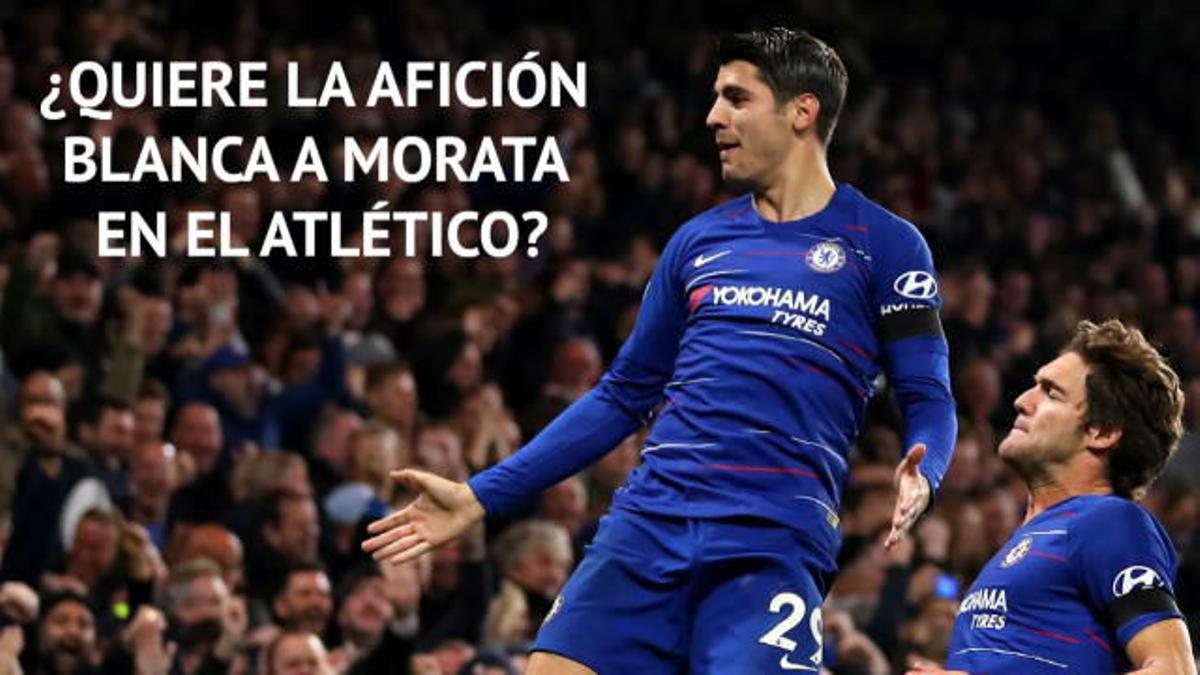 Así opina la afición del Real Madrid sobre Morata