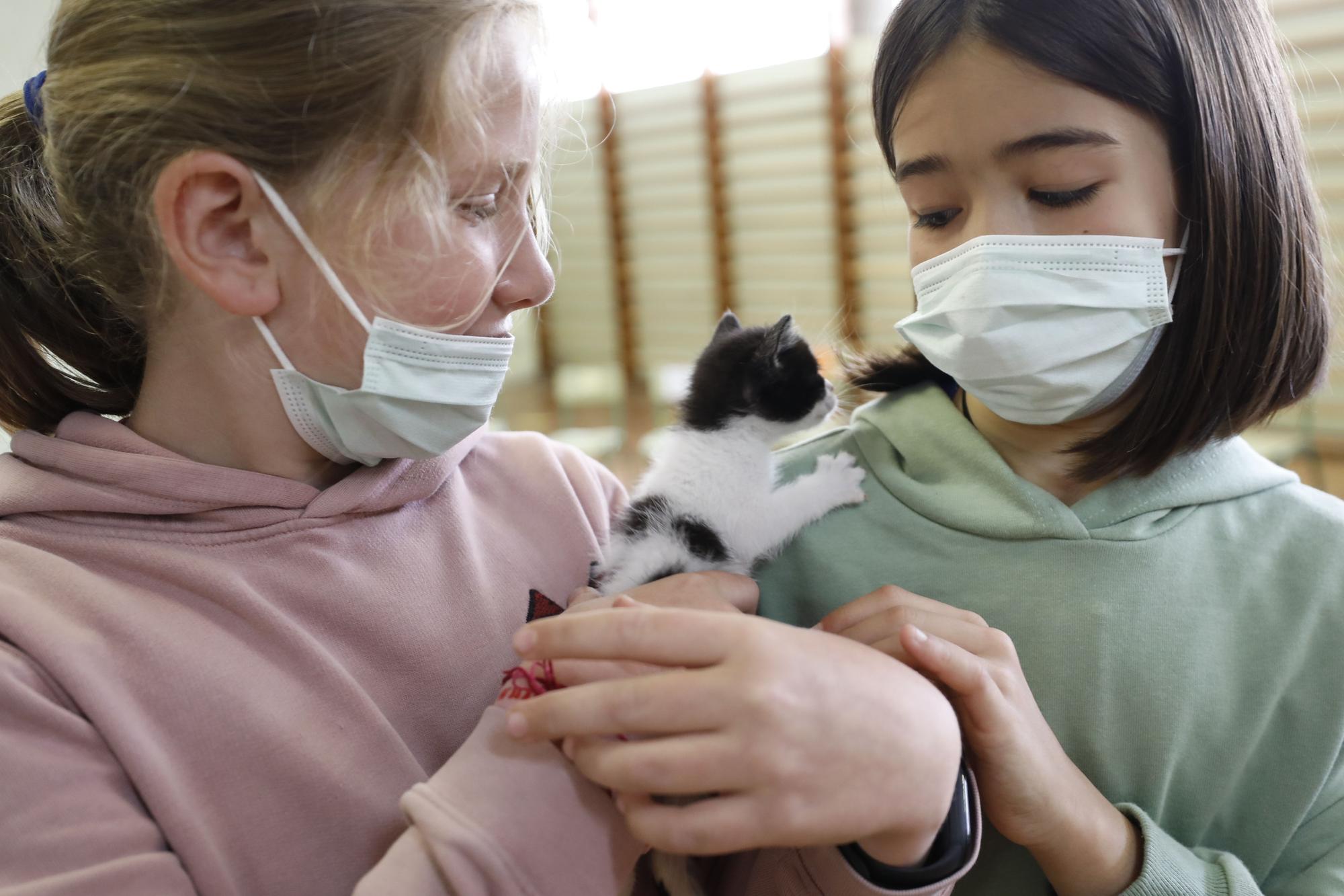 El Albergue de Animales visita a los niños del Gesta