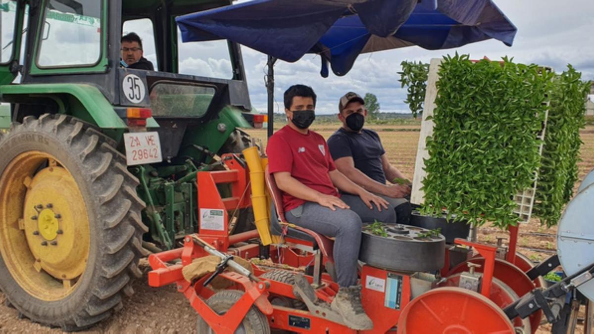 Agricultores durante los trabajos en el campo. | E. P.