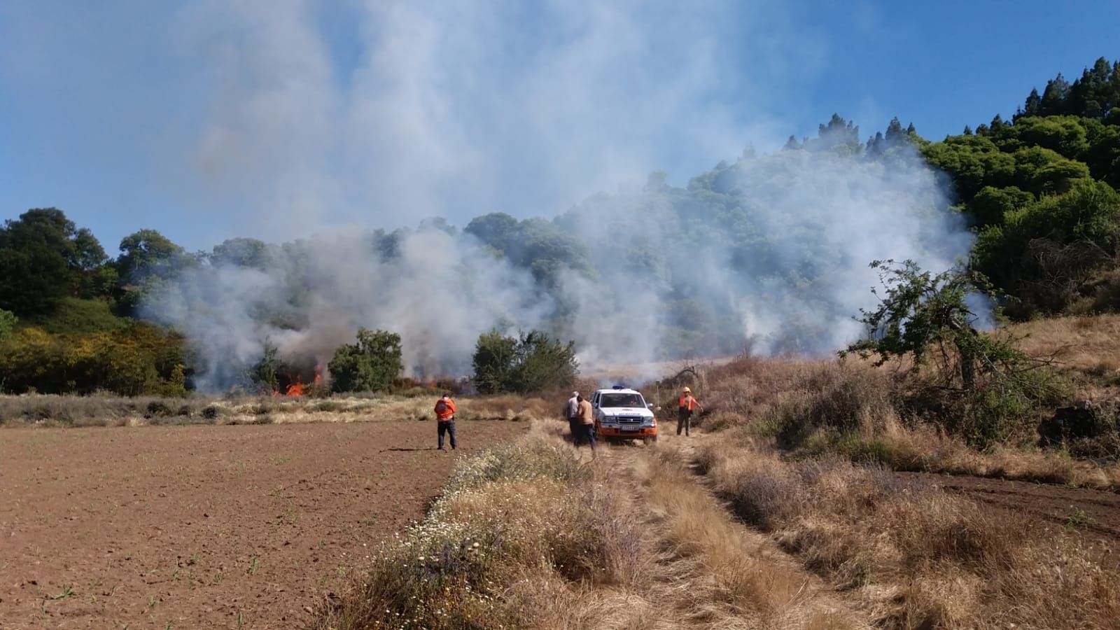 Incendio forestal en Valleseco (30/06/21)