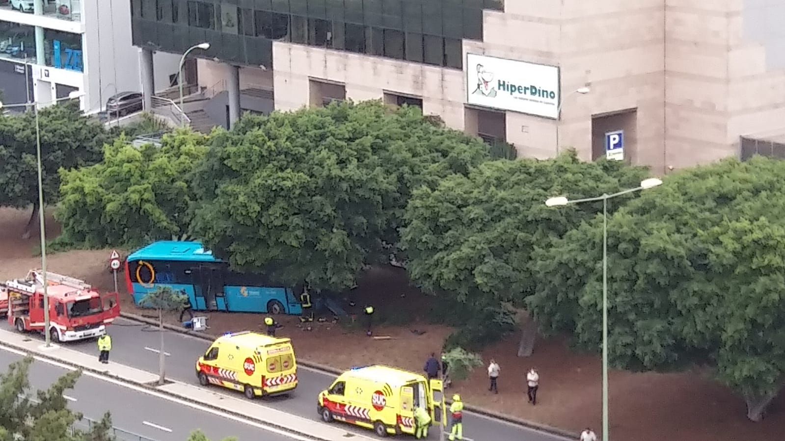 Una guagua de Global se sale de la carretera en Miller Bajo y se estampa contra un árbol