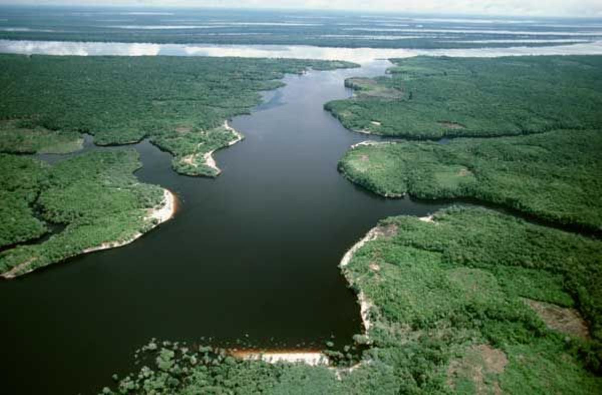 A pocas horas de Manaus, el laberíntico archipiélago Anavilhanas fluye por el Río Negro.