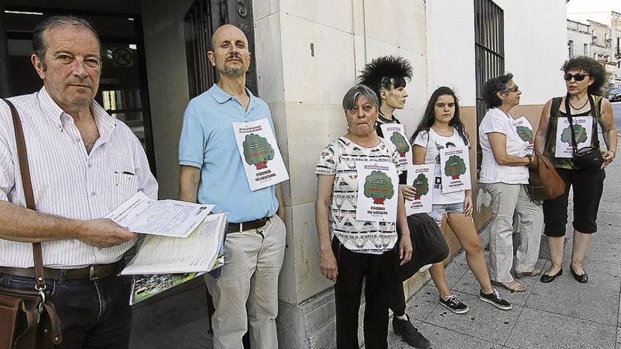 Cáceres Verde critica el daño contra el &quot;patrimonio verde&quot;