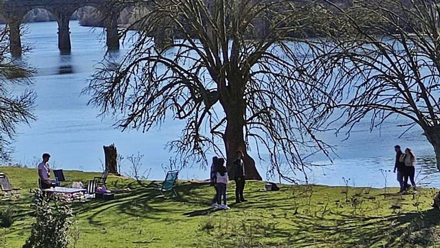 Varias personas celebrando la jornada de tortillero en el paraje de Puente Quintos. | E. P.