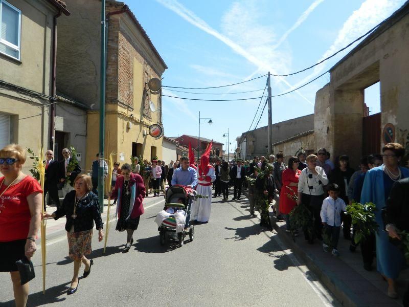 Procesión de Domingo de Ramos en Villaralbo