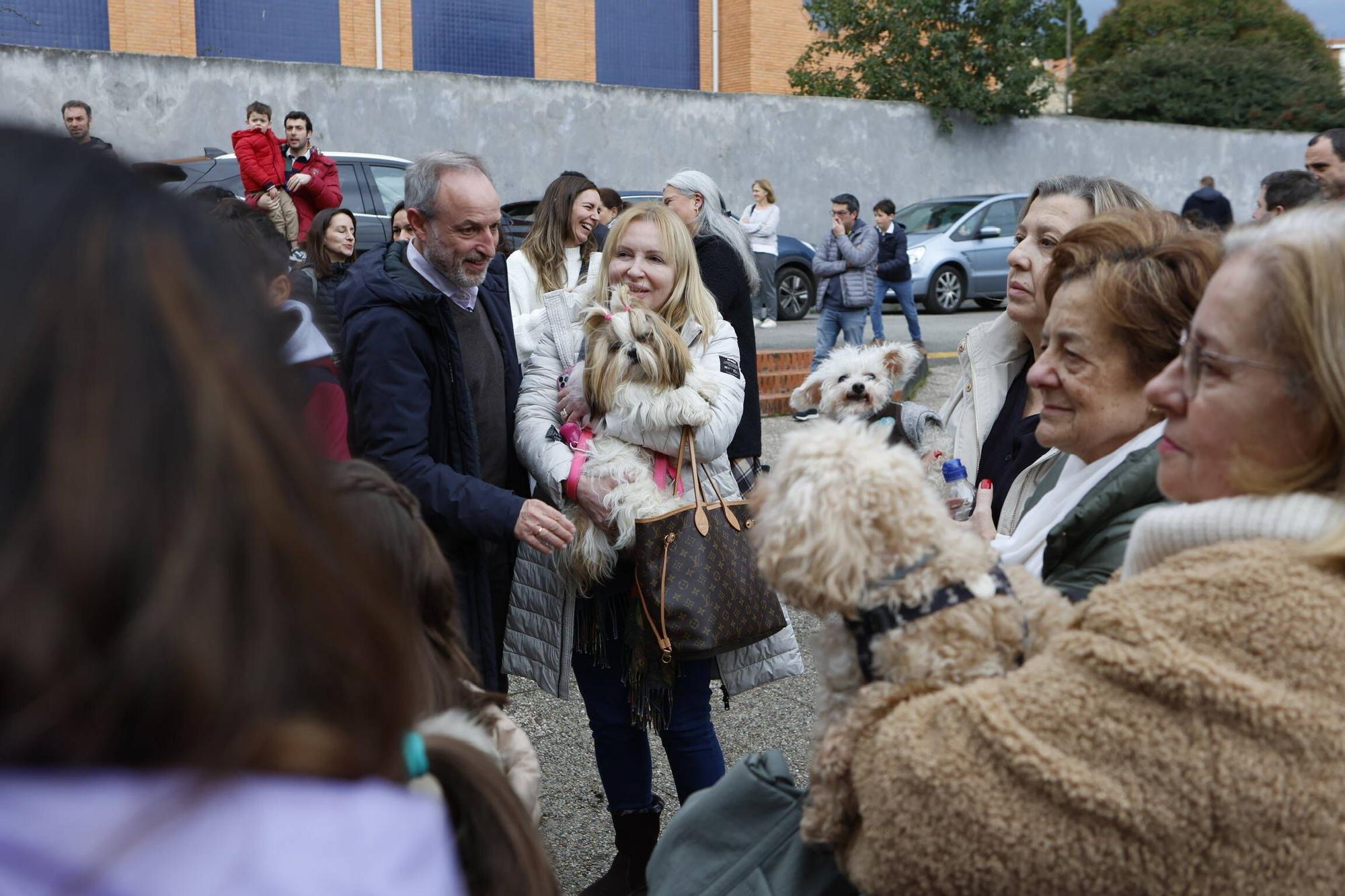 Bendición mascotas en Gijón en la parroquia de Viesques