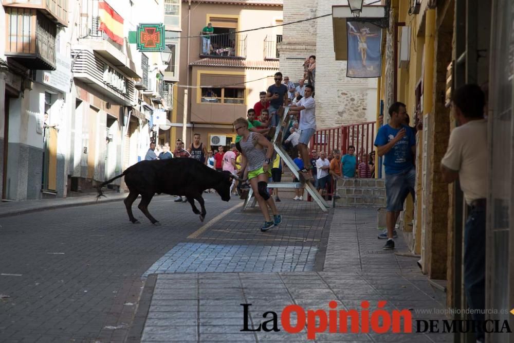 Primer encierro Moratalla