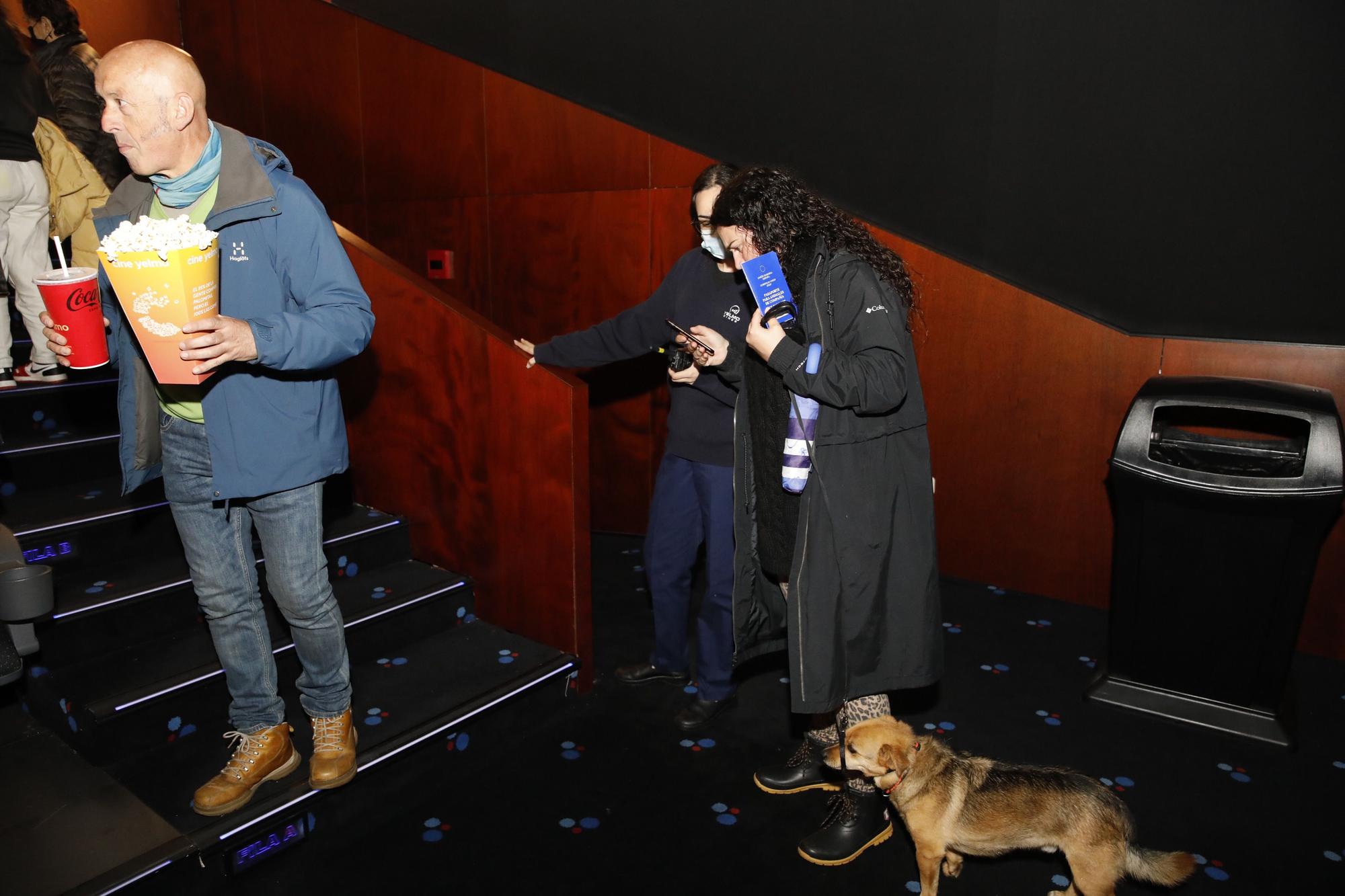 En imágenes: los perros ya van al cine en Gijón
