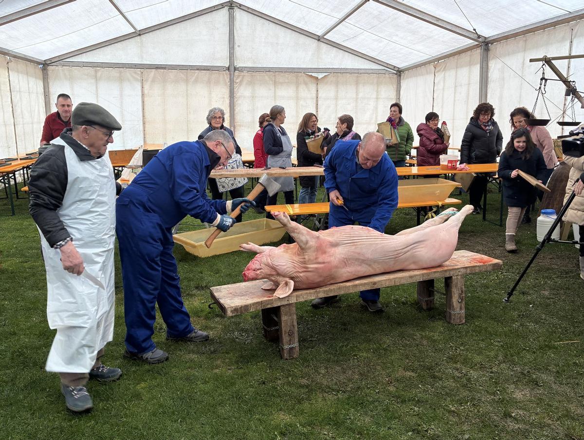 648682781_1355254106635769_5157892623716208440_n