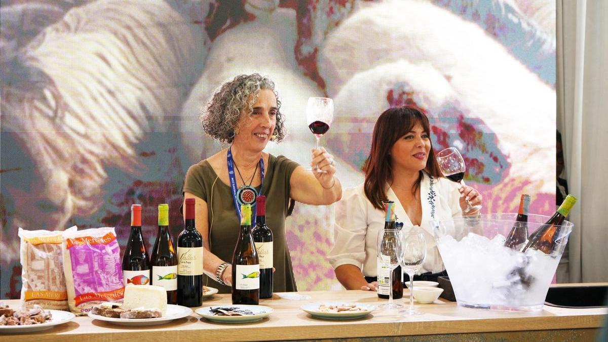 Degustación de vinos, quesos y gofio de La Laguna.