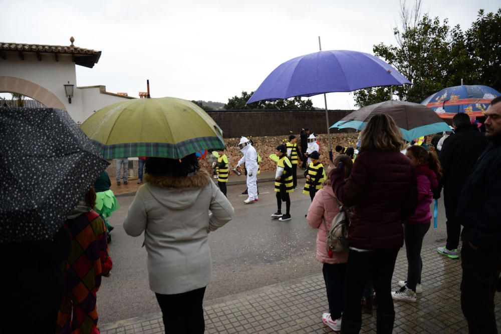 Stimmung trotz schlechtem Wetter: In Portol und Sa Cabaneta fand am Sonntag (4.2.) der erste Karnevalsumzug statt. 13 Festwagen und Fußgruppen waren mit von der Partie.