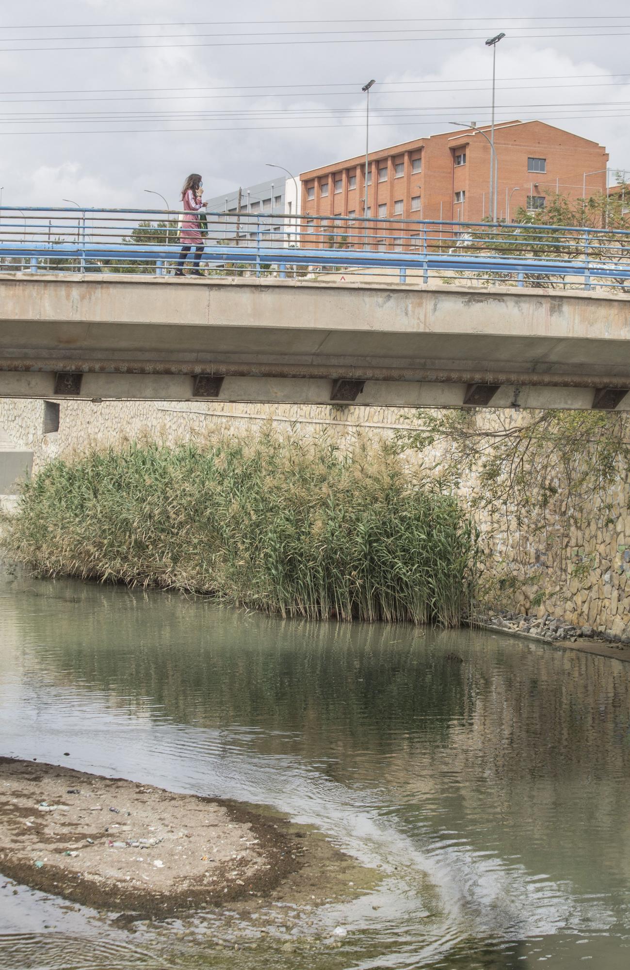 Nadie quiere limpiar el Barranco de las Ovejas en Alicante