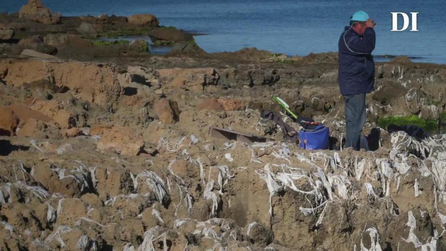 Las toallitas húmedas llegan a la costa de Ibiza