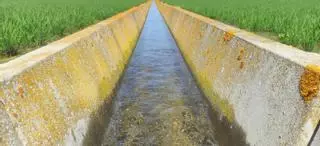 Los regantes extremeños afrontan su primera campaña normal desde el año 2021