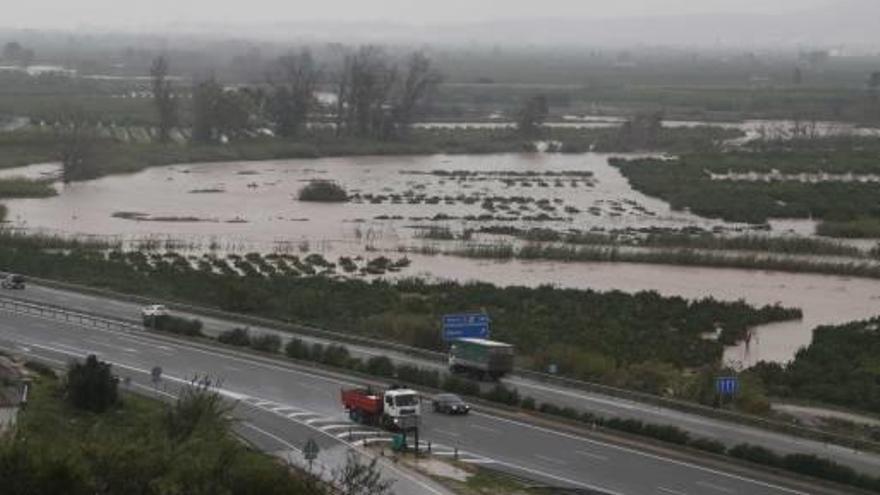 Alberic cuantifica en 1,2 millones las pérdidas causadas por el temporal