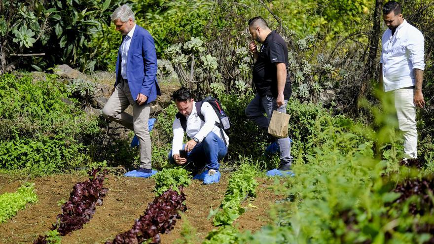 Visita a Ecohuerta Canaria