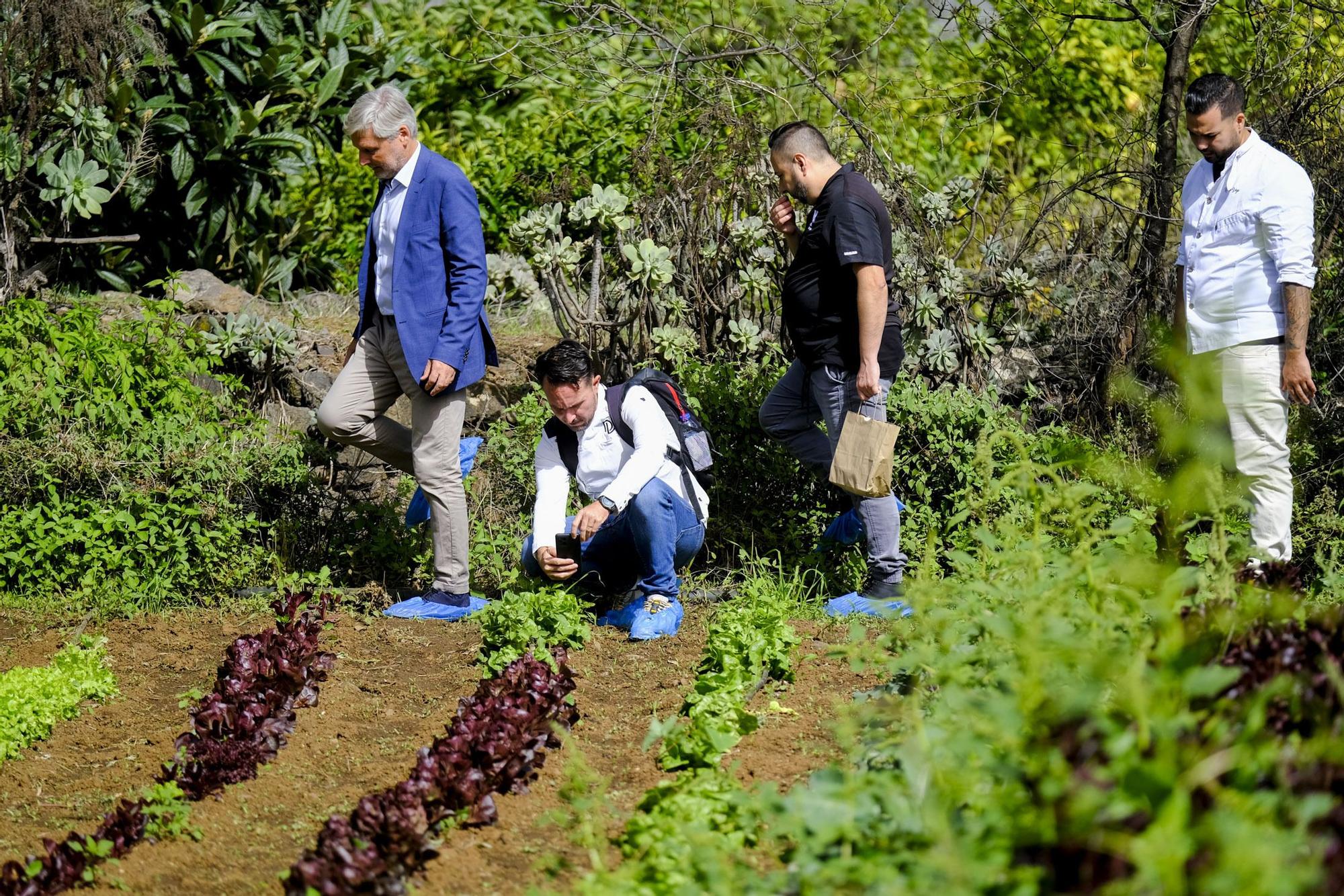 Visita a Ecohuerta Canaria