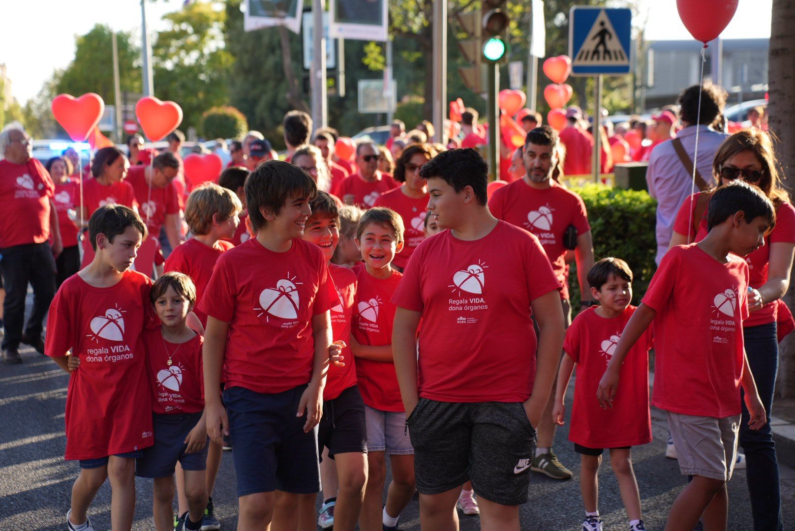 La marcha por la donación de órganos, en imágenes