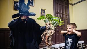 Un mini Harry Potter se tapa los oídos ante una mandrágora en el Palau Maldà.