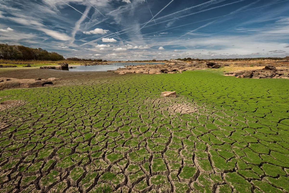 Tragedia climática - Embalse del Molano seco
