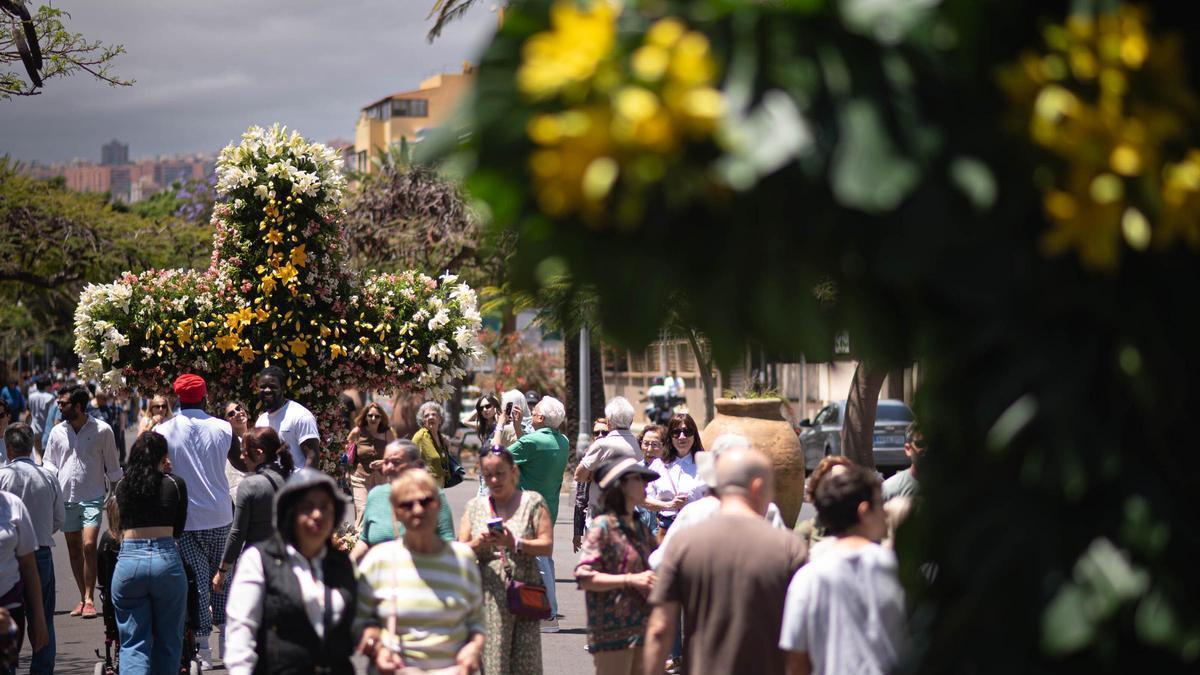 Santa Cruz se llena de color celebrando su día