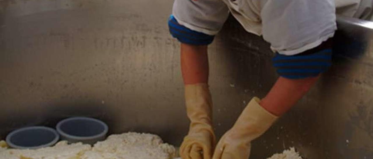 Una empleada trabajando en una fábrica tradicional de quesos gallegos. // FdV