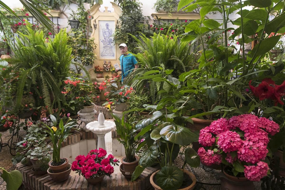 Fotogalería / Descubriendo los patios de la ruta Santiago-San Pedro