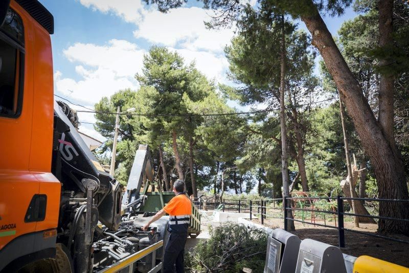 Efectos de la tormenta en Longares