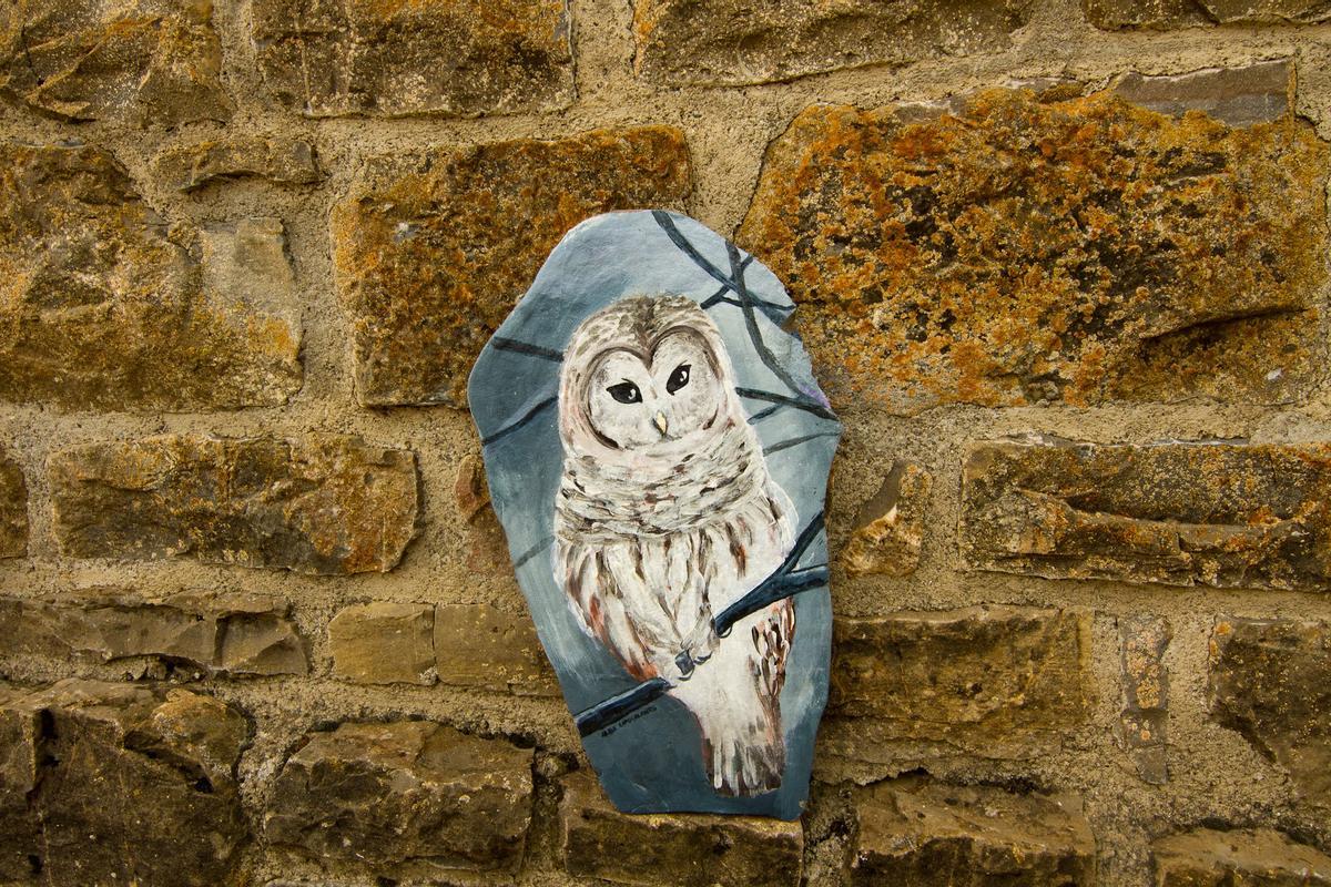 Buho pintado en una losa de piedra en Espierre (Huesca)
