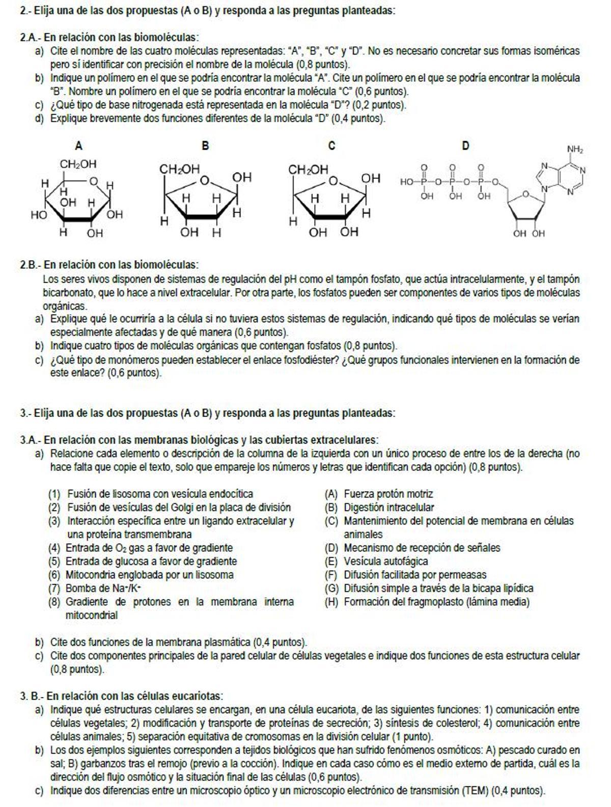 Examen de Biología de la PAU 2026 de Madrid