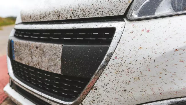 El sorprendente truco que tienes que conocer para quitar los mosquitos pegados en el coche
