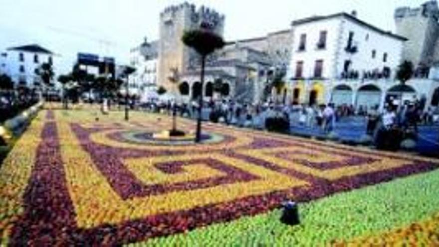 40.000 kilos de fruta convierten la plaza Mayor en un mosaico de colores