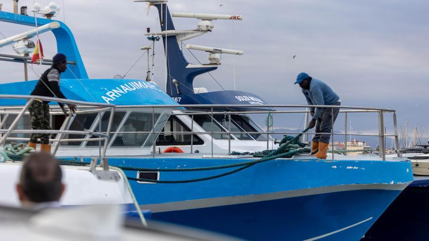 Los recortes en los días de pesca reducen las capturas en Alicante en un 25 %