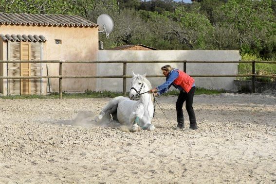 Son Bages war jahrelang das Künstlerdomizil von Hanne Holze. Jetzt haben ihre Töchter die Finca übernommen und in einen Reiterhof verwandelt.