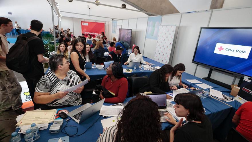 Diverse Job Opportunities: From Transportation Monitor to Graphic Designer