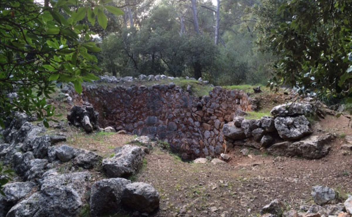 Ruta por los antiguos oficios del bosque