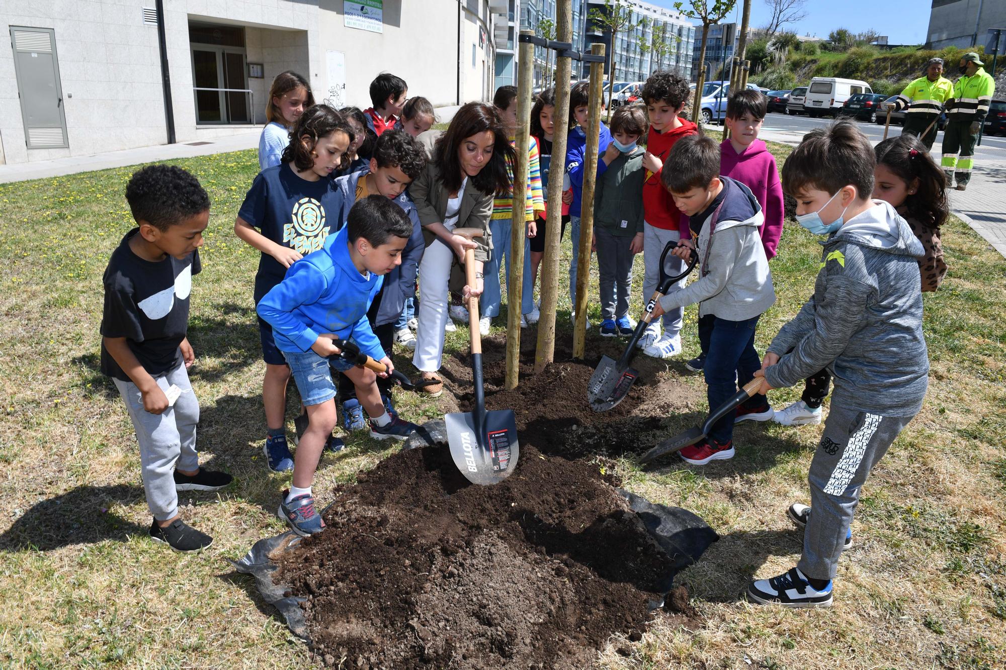 Alumnos del colegio Torre de Hércules plantan quince moreras