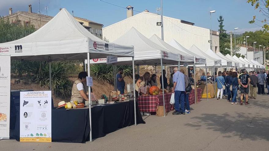 La Fira de la Mongeta de Castellfollit, lany passat