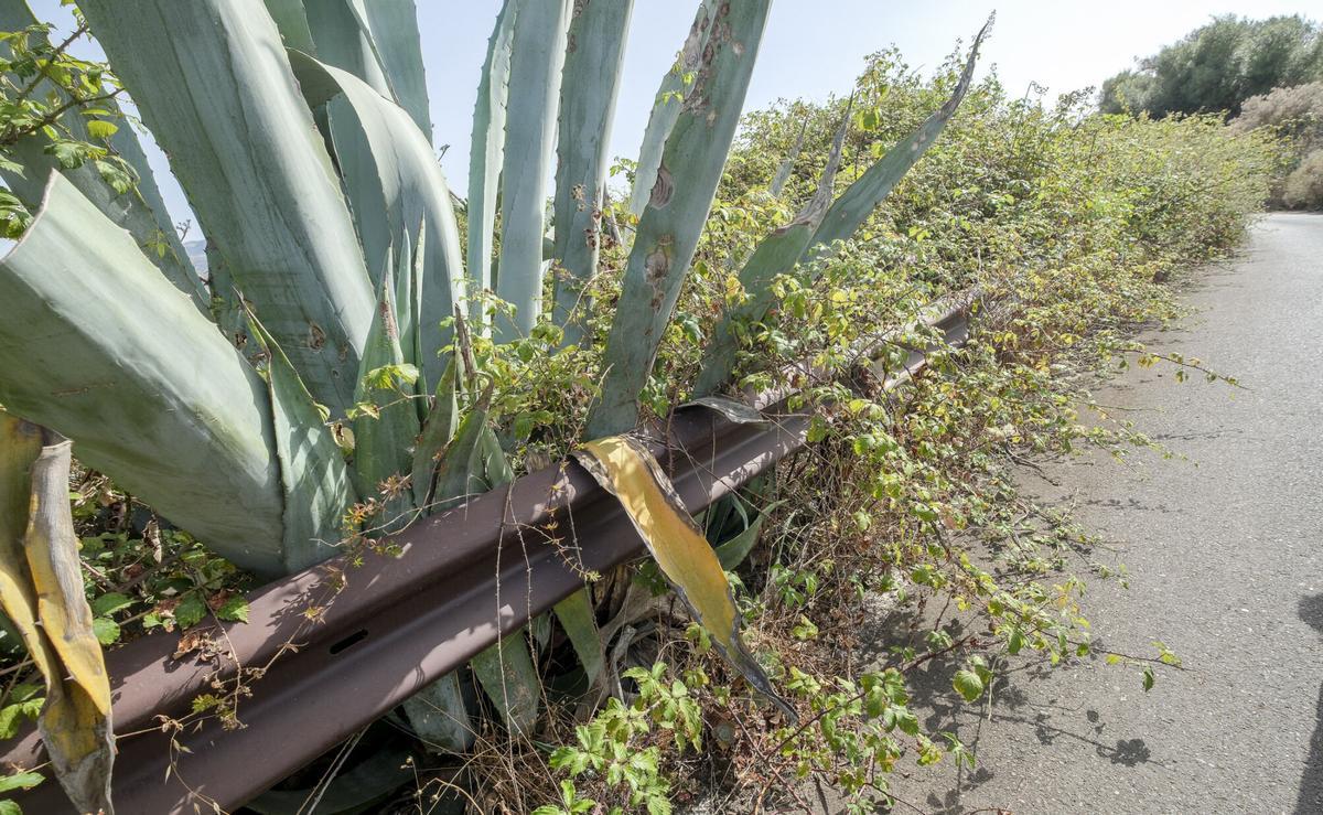 Vecinos de La Milagrosa advierten del riesgo de un tramo de carretera