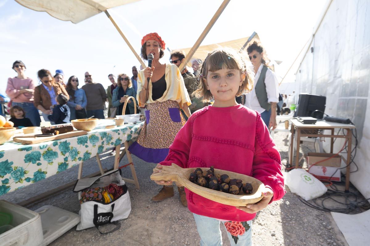 La fiesta de la almendra de Santa Agnès, en imágenes