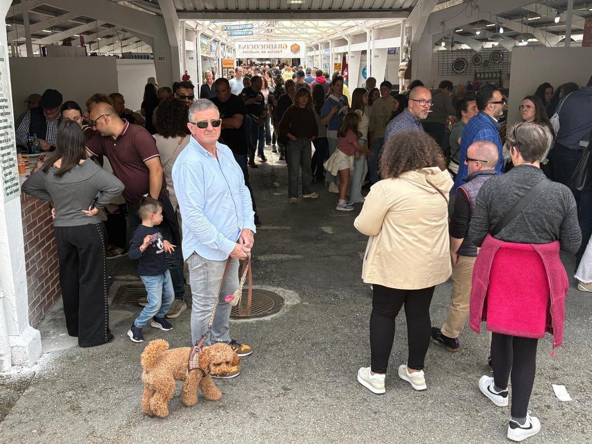 Lleno en el primer día de la Feria de Muestras de Tineo Lleno en el primer día de la Feria de Muestras de Tineo