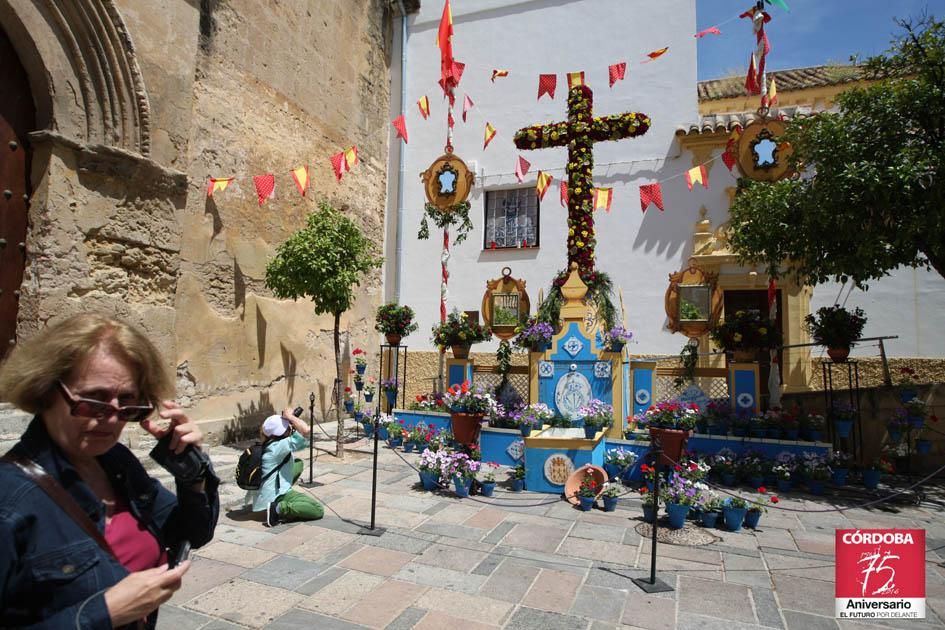 Fotogalería / Las cruces de Córdoba