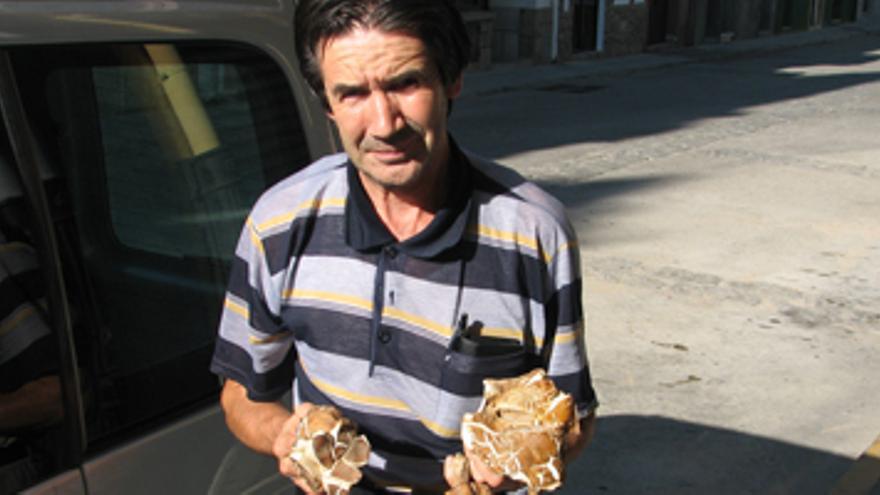 Con la llegada del otoño aparecen las primeras setas en la comarca de La Vera