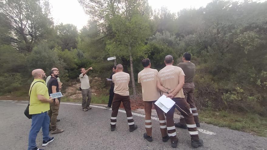 Canals ampliará la franja contra incendios en el paraje del Túnel