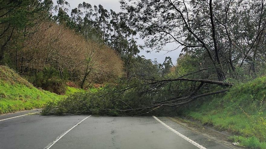 Problemas con el tráfico por caídas de árboles en A Baña y accidentes en la autovía de Brión